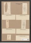 Navicula digitato-radiata var. cyprinus (W.Sm.) V.H. (de-Toni-Nr.: Genus 1, Species 124) Zeichnungen Sammlung Grunow Nr. 381 (NHMW-BOT-W0366679)